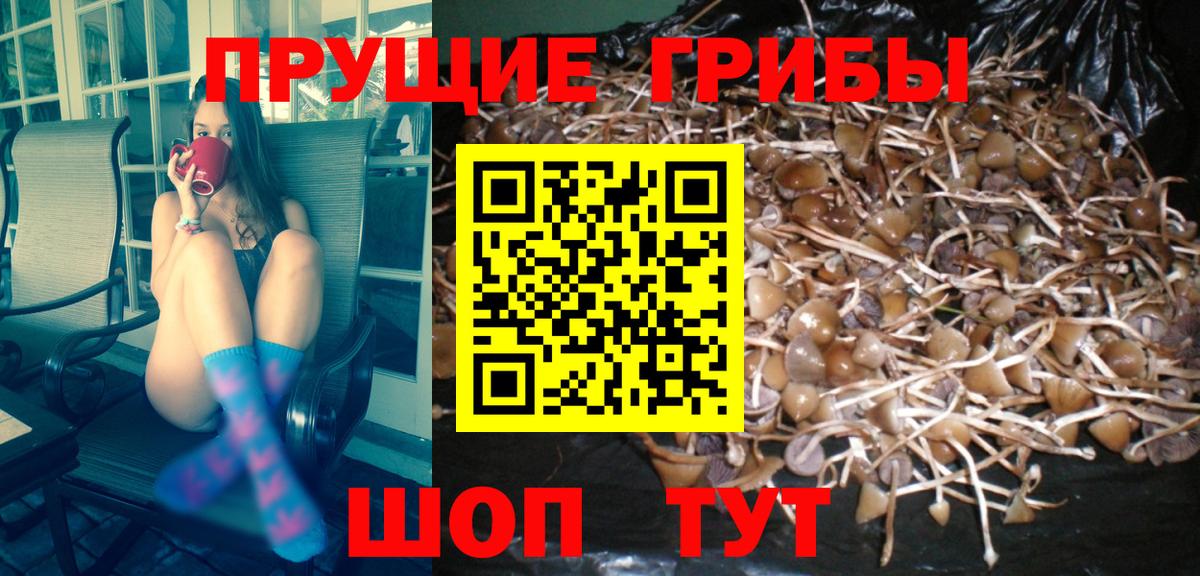 Боровичи  Псилоцибиновые грибы ЛСД  Вход с VPN 